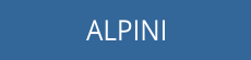 bt_t-sh_alpini.png
